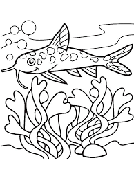 These coloring pages and worksheets feature different areas of biology as well as fun facts. Online Coloring Pages Coloring Page Som From Algae Fish Download Print Coloring Page