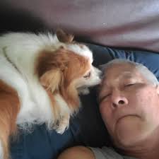 Why did the pig cross the road?🤪 August 14, 2022.