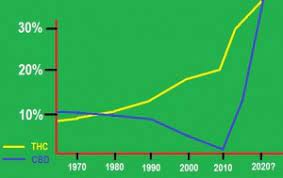 Increase In The Potency Of Cannabis - Gb, The Green Brand