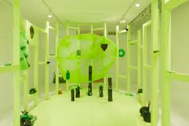 Snake plant birds nest green 6. Jasmine Reimer International Studio Curatorial Program