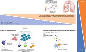 How relationships can change taking on a caring role often changes relationships. The Immuno Oncological Challenge Of Covid 19 Nature Cancer
