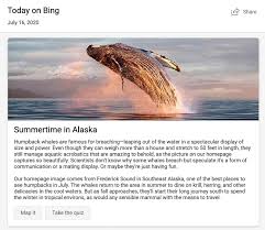Writers employ the five senses to engage a reader's interest. Bing Homepage Tony Wu Photography