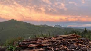 Temperatura pentru următoarele 7 zile. Offroad Vatra Dornei Posts Facebook