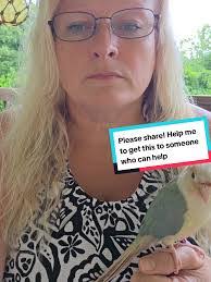 Dawn Hovis's Instagram, Twitter & Facebook