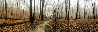 Check spelling or type a new query. Cool Hollow Trail Palisades Kepler State Park Iowa Usa Hiking