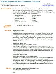 Use our free software engineer resume templates and writing guide proven to help you land your dream developer job in 2021. Engineering Cv Writing Services Engineering Cv Template