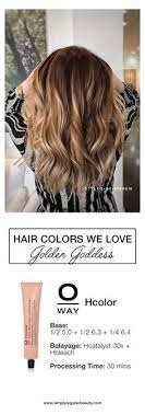 For your request walk in hair color salons near me we found several interesting places. 30 Oway Haircolor Ideas Hair Spa Hair Color Hair