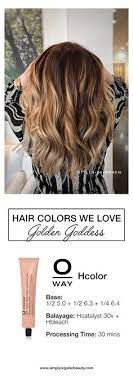 Your request belongs to the popular category. 29 Organic Hair Color Ideas Hair Color Organic Hair Color Hair