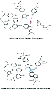 (termite and pest protection from general pests like ants and cockroaches). A Critical Review On The Potential Impacts Of Neonicotinoid Insecticide Use Current Knowledge Of Environmental Fate Toxicity And Implications For Human Health Environmental Science Processes Impacts Rsc Publishing