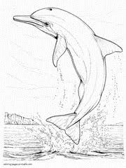 Included in the download, you'll find a sea horse, an octopus, a turtle, a whale, a crab, and a dolphin. 111 Sea And Ocean Animals Coloring Pages To Print