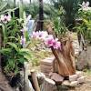 Speciosum sebagai satu jenis spesis. 1