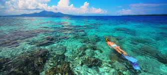 As an added bonus, you can book your snorkeling. World S 10 Best Islands For Snorkeling Islands