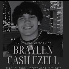 Are there any bee removal guys in Conroe?