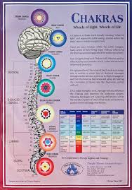 chakras chart a3 poster wall chart