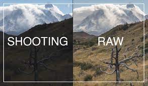 Why you should shoot in RAW format (and why you shouldn't) - DALIBRO