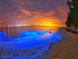 Inner Glow Bioluminescent Bay Dark Beach Bioluminescence