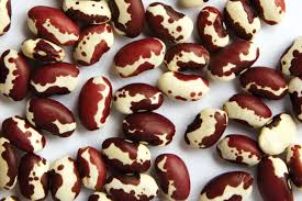 150 calories, nutrition grade (a), problematic ingredients, and more. Anasazi Bean Zursun Idaho Heirloom Beans