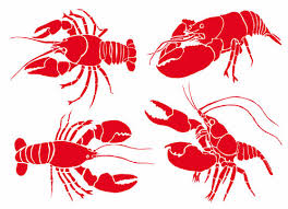 Crawfish Vector Photos Royalty Free Images Graphics Vectors Videos Adobe Stock