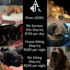 Get 5 prices from pet sitters nearby. Aj House Pet Sitting Home Facebook