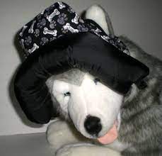 Bumper Hat Protective Headgear Made For Circuit Australia 5 Month Old Possibly A Staffie Mix With Cerebellar Hypo Headgear Reflective Dog Harness Dog Vests