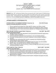 Underwriting Amp Credit Analyst Resume Business Analyst Resume Resume Manager Resume
