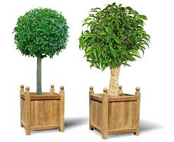 Each of our versailles planters comes standard in unpainted white, eggshell finish. Set Of 2 Large Versailles Teak Garden Planters