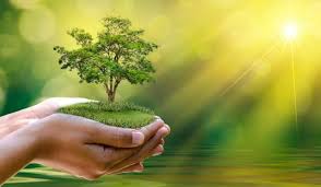 The environment is where we all … 20 Inspirational World Environment Day Quotes Balanced Achievement