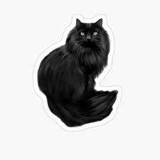Although there is only one cat breed that comes only in black (the bombay), the cat fanciers' association recognizes 22 black cat breeds that have a solid dark coat variation: Black Long Haired Cat Zipper Pouch By Pam069 Redbubble