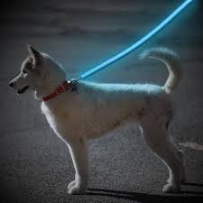 Hound Beacon Led Dog Leash 25 Dog Leads Leash Dog Leash Pet Safety