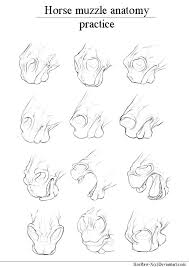 Nose drawing human drawing drawing faces art drawings sketches cartoon drawings drawing techniques drawing tips cartoon noses art du croquis. Horse Muzzle Anatomy Study By Horraw X Horse Art Drawing Horse Drawings Animal Drawings