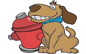 Learn how to create your own. Warwick Island Area Pooper Scooper Dog Poop Service Pet Butler