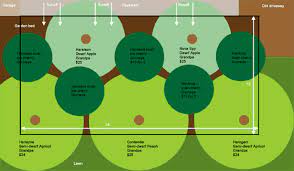However, higher density systems are being explored with smaller tree sizes maintained through pruning and fruit thinning activities throughout the year (table 1). Fruit Tree Guild Plans Fruit Tree Guild Fruit Tree Guild Plans Tree Guild