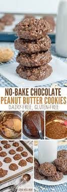 Dairy Free No Bake Chocolate Peanut Butter Cookies Recipe Dairy Free Cookies Dairy Free Dessert Free Desserts