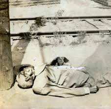 President joe biden is in tulsa, oklahoma tuesday, the 100th anniversary of the 1921 massacre that decimated a black community. Rassenunruhen Weisser Lynchmob Bombardierte Tulsa Mit Terpentinballen Welt