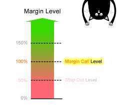 What Is A Margin Call Level Babypips Com