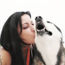 Can anyone recommend a band or one man band to play rock and roll in Citrus  Springs area tonight?