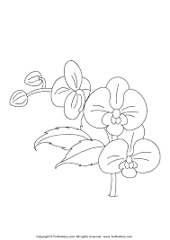 Orchid Coloring Sheet Coloring Pages Coloring Sheets Flower Coloring Pages