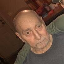 Mr. Phillip Micheal "Mike" Wills Obituary