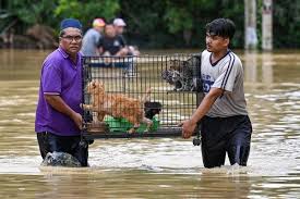 Banjir bah besar di negeri perak yang mencecah ketinggan143.8 kaki… pada tahun 1926, satu banjir besar telah melanda perak dan kemudiannya 2. Banjir Di Malaysia Enam Negara Bagian Terdampak