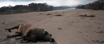 Die letzten tage von pompeji. Guatemalas Pompeji Helfer Suchen Vermisste Nach Vulkanausbruch Tageblatt Lu