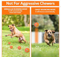 HardyPaw Auto Pet Toy Ball