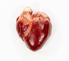 Learn more about the american heart association's efforts to reduce death caused by heart disease and stroke. Chocolate Human Heart Edible Museum Realistic Chocolate Body Parts