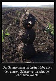 Alkohol und nikotin, rafft die halbe menschheit hin. Der Schneemann Ist Fertig Lustige Bilder Spruche Witze Echt Lustig Lustige Bilder Schneemann Witze