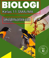 Check spelling or type a new query. Contoh Soal Ukk Pat Biologi Kelas 11 Sma Ma Sekolahmuonline Com Part 1 Sekolahmuonline
