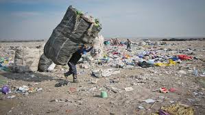 To find a recycling collector or someone who wants your plastic waste, check out nea's list of collectors and traders. Social Inclusion In Mexico S Pet Plastic Recycling Our World