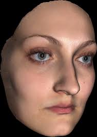 Multimodal Landmark Detection for Anthropology