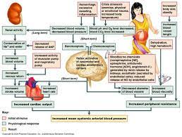 There isn't a single magic food in this list. Doctor 24 X 7 Blood Pressure Regulation Facebook