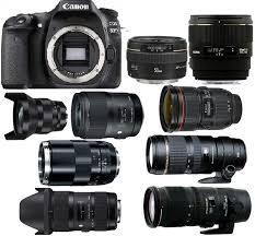 Canon T7i Vs 77d Vs 80d Best Lenses For Canon Eos 80d Photography Lenses Photography Camera Camera Photography