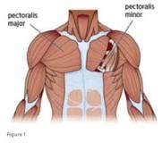 Image result for icd 10 code for muscle strain chest