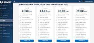 How To Buy Domain And Hosting For Wordpress Website Or Blog? | Seekahost
